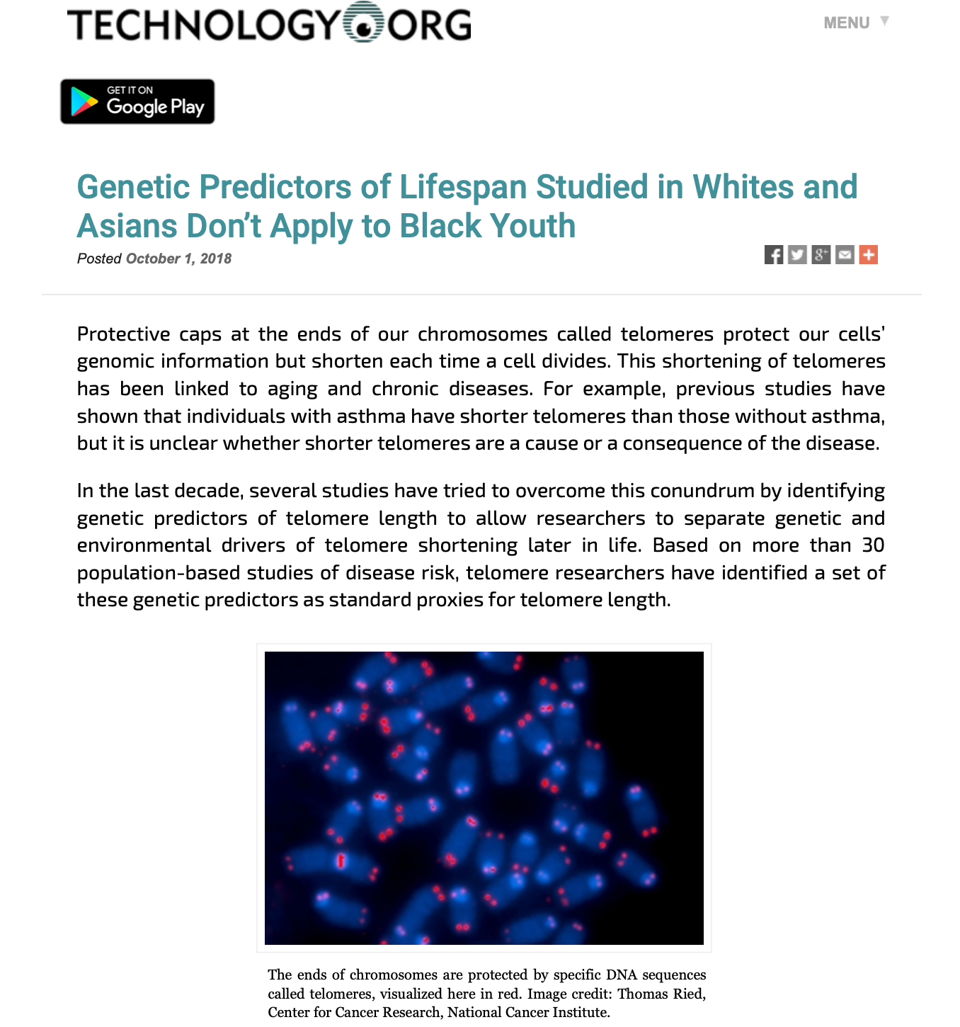 Genetic Predictors of Lifespan Studied in Whites and Asians Don’t Apply to Black Youth